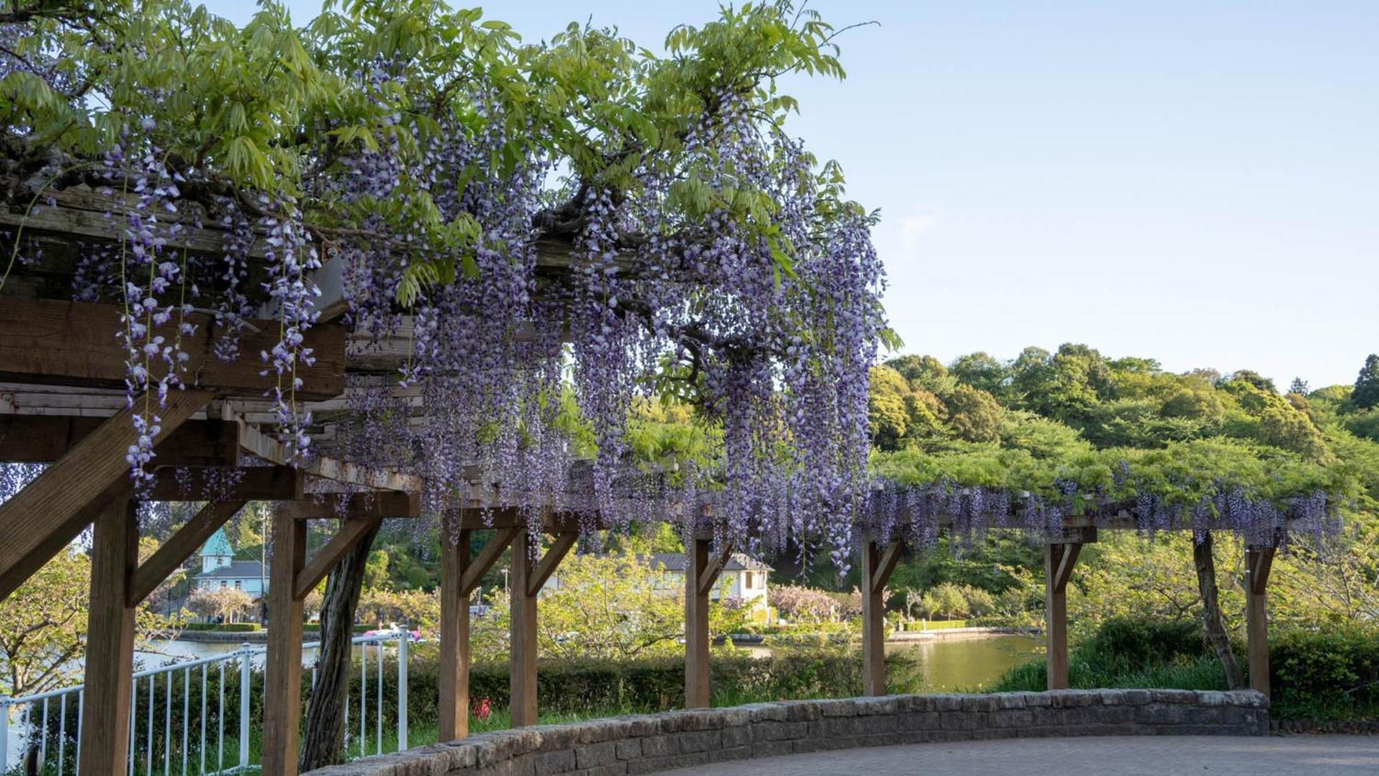 Toyoko Inn Shizuoka Fujieda Eki Kita Guchi Buitenkant foto